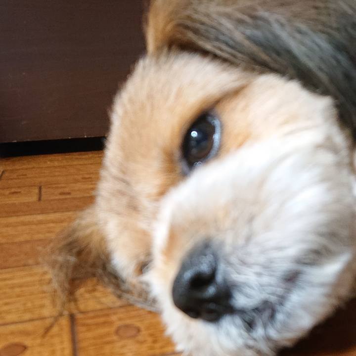 2e0e5c2e f366 4b24 8f7c d8616becaafb 1564404391252