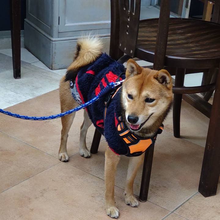 2e0e71a7 0cec 4e7b 9f81 393c4f13c651 1637573733788