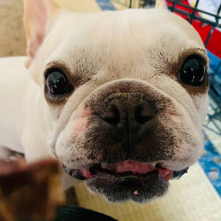 2e0e9d82 0acd 4dce af5f a35f2db09c29 1557195494777