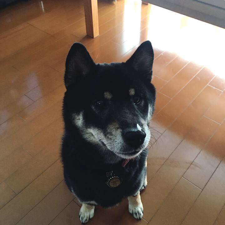 2e0ec5b3 efc9 445d b59c b6c88069e321 1554600822381