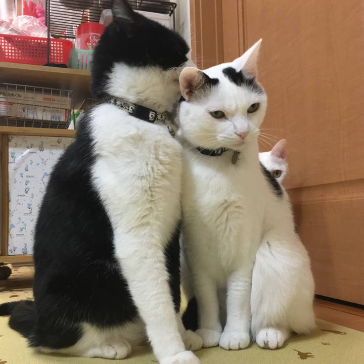 2e0ec8a7 a8e6 48c7 b1c3 94df246244d6 1512826948178