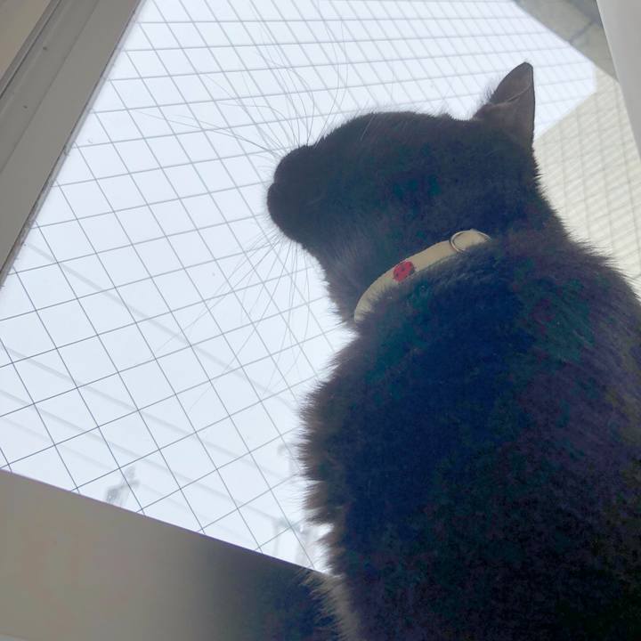 2e0ed674 35c7 4ad8 bf6b 29c6b9e0882d 1595726475352