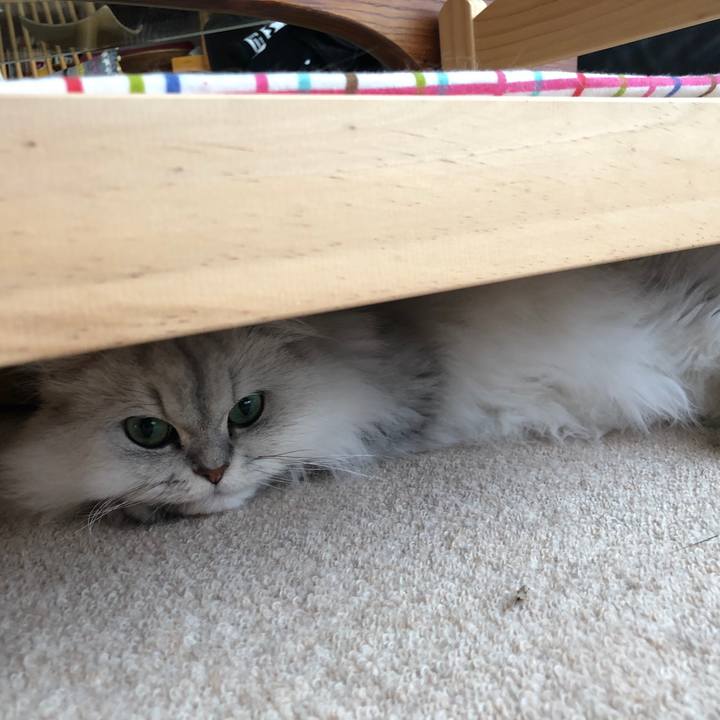 2e0ee228 dffd 4e88 97b1 27d9e1b0b0c6 1540601042023