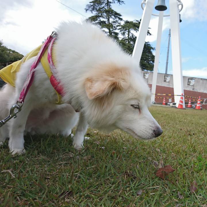 2e0f00db 4f26 4df3 92c4 51be2e37d365 1640294327500