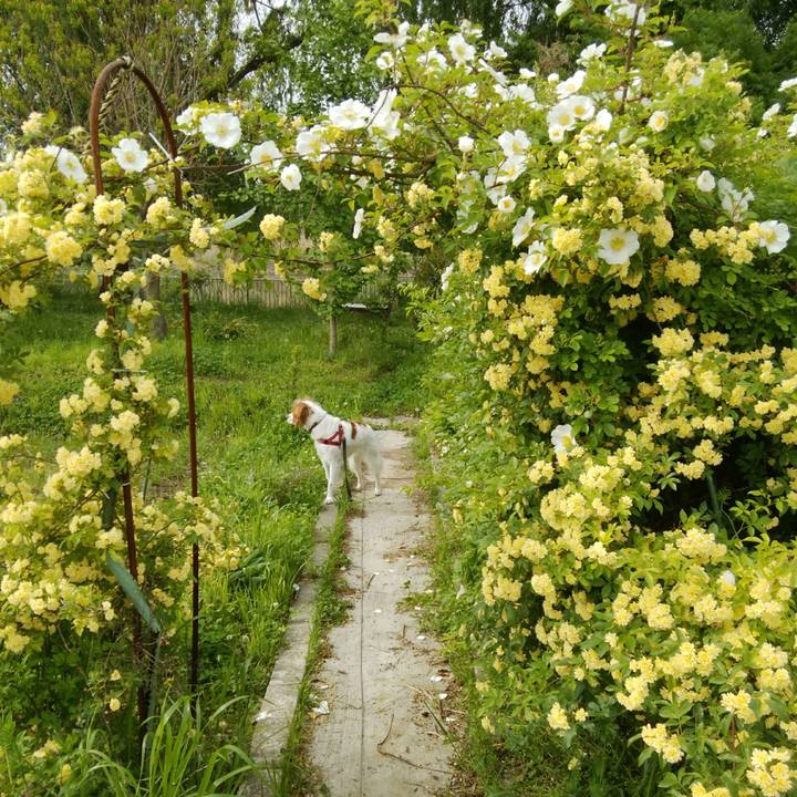 2e0f2116 7eeb 4878 ab1e ebe42bb72a12 1524807896576