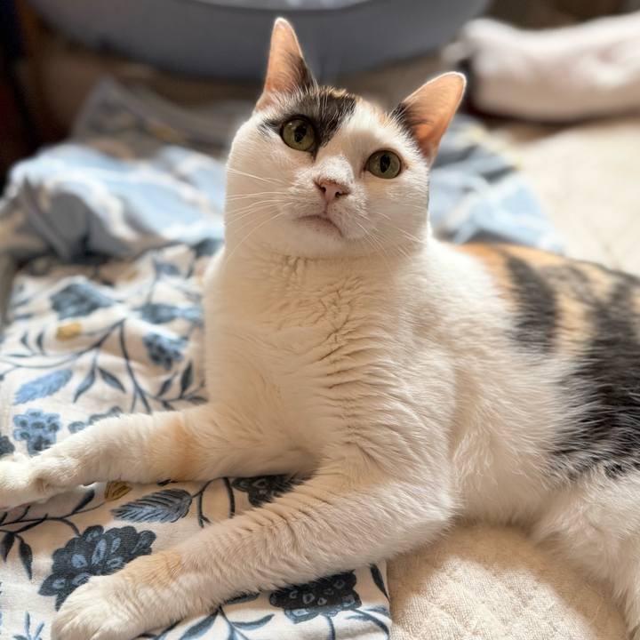 2e0f2c9d cba4 41b1 9288 109b616a9227 1759454233590