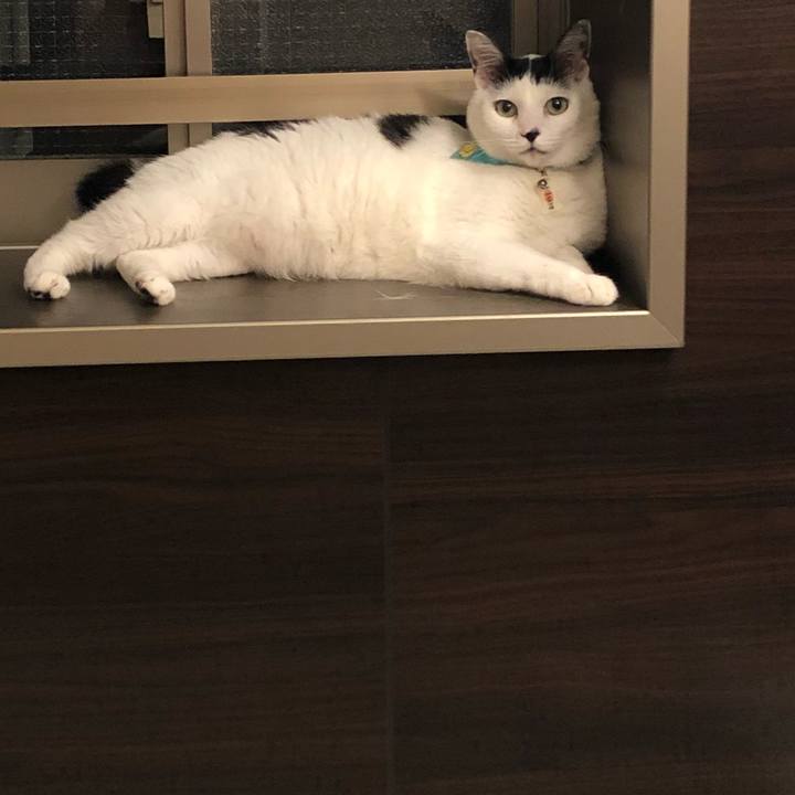 2e0f4153 7860 4a0f 9ab4 2b593e7522f5 1534950518992