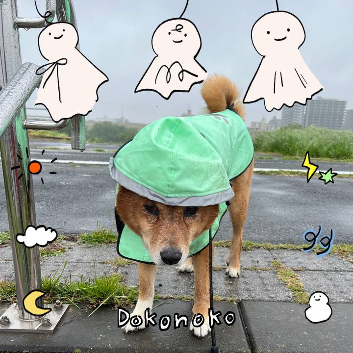 2e0f4256 3c43 40ee a887 e22d7cfa82fe 1749133393264