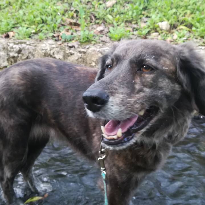 2e0f4813 3567 4bc7 b1ae dff296bf94ba 1615820359707