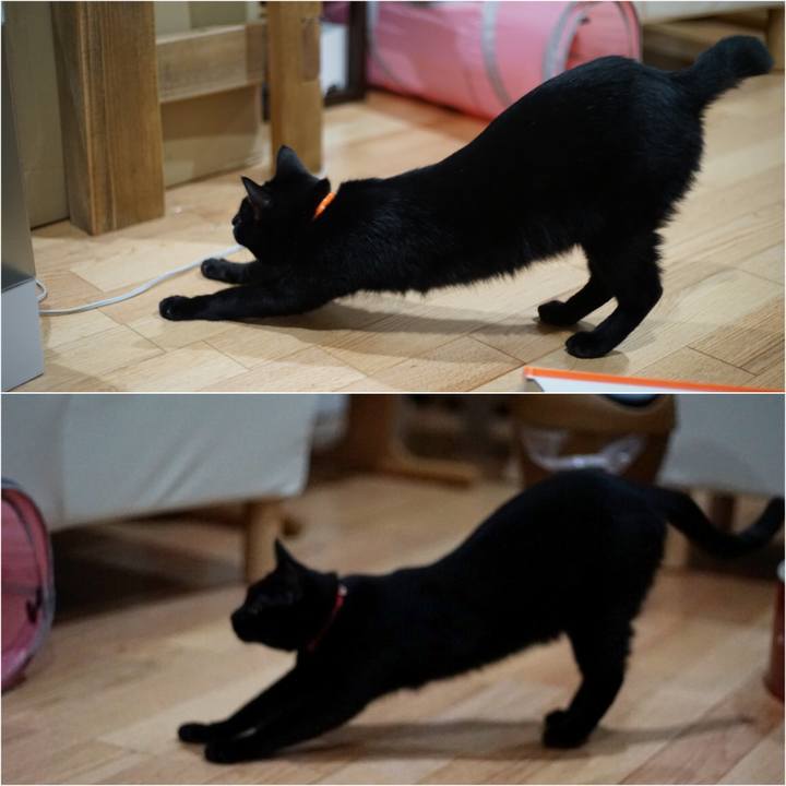 2e0f812b 73cf 41e0 b506 c8ac64294274 1521323697981