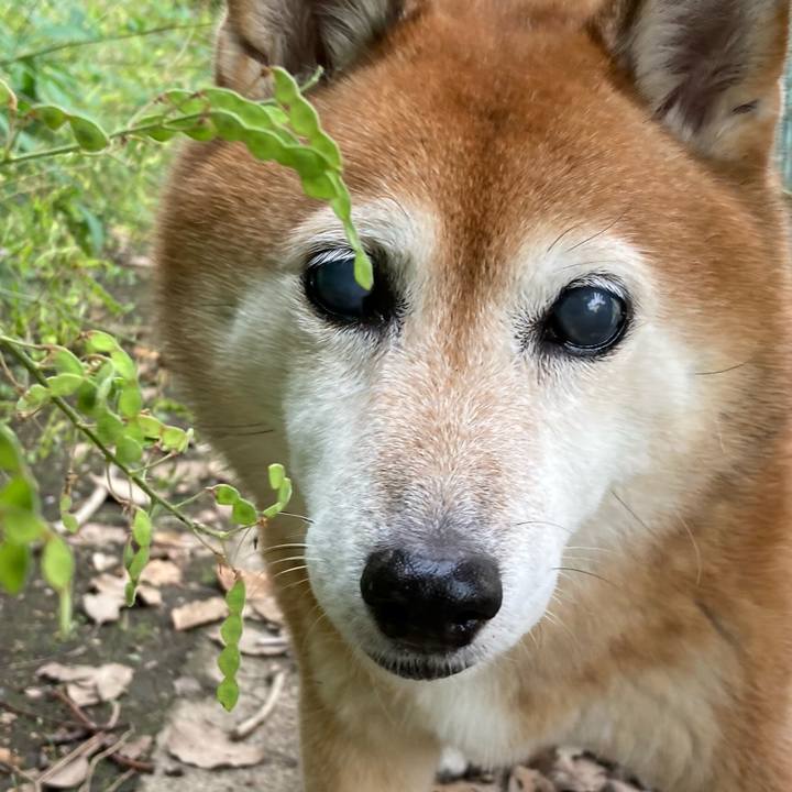 2e0f8900 c49a 4917 910f fbb3aacd9a4f 1695708066405