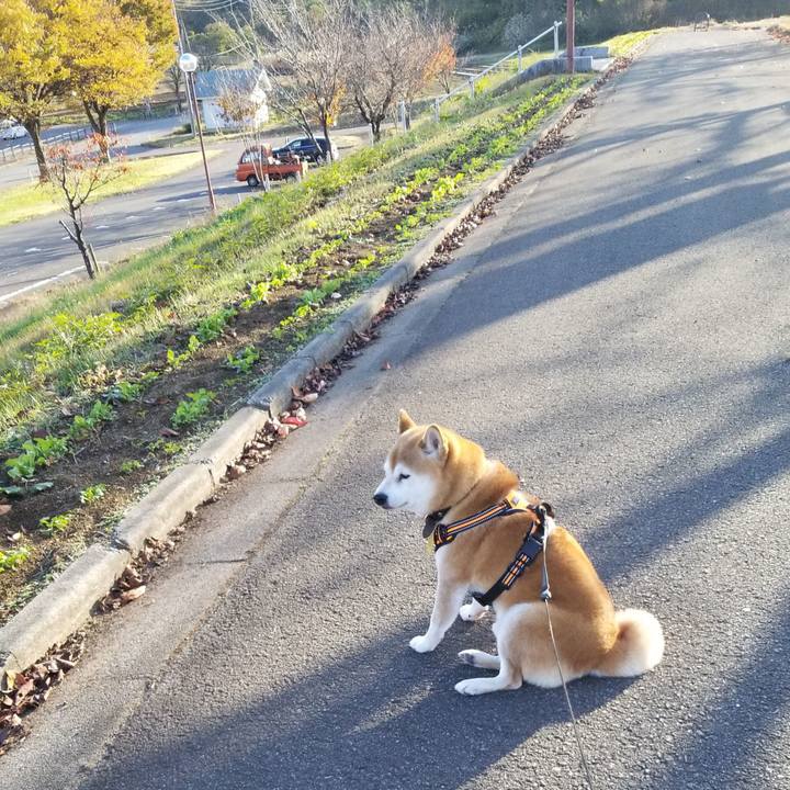 2e0fdd5f cf0e 4a63 a83d 9e037f182c2f 1604557113198