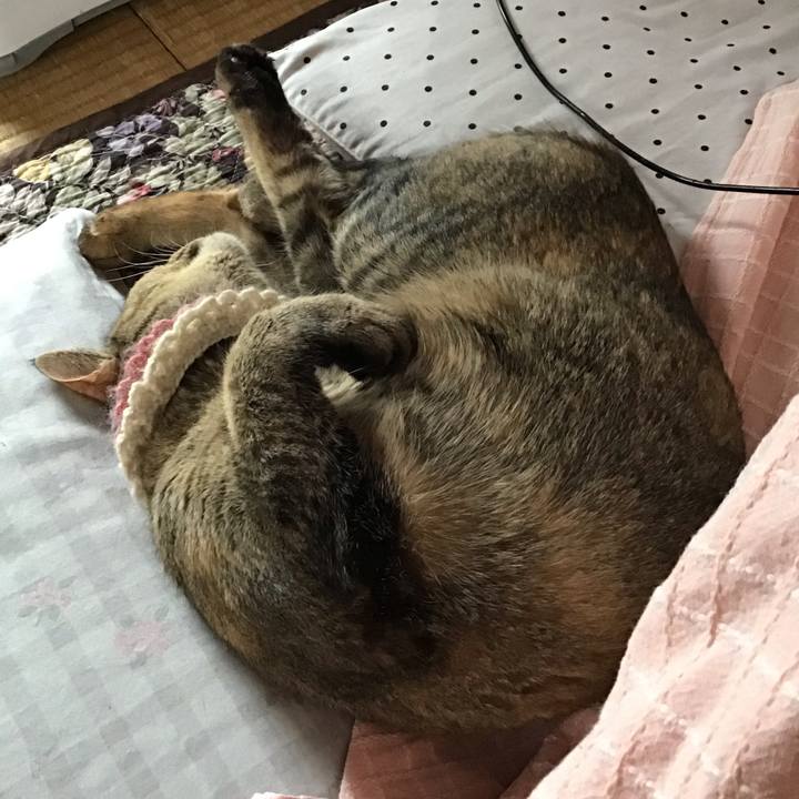 2e0fe34f 65e1 425b 9aa9 498eda78d64b 1621129163206