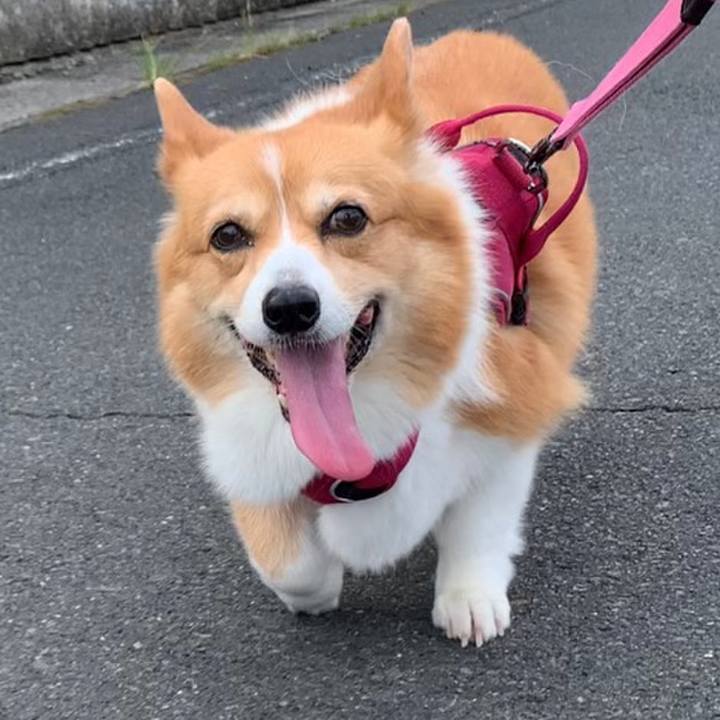 2e0fe405 f5c9 4cfb afd5 ecf9528c05d4 1660524930954