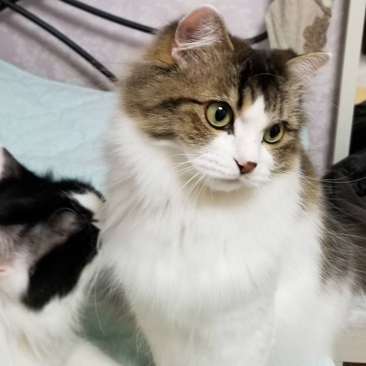 2e0fe4f7 a6da 4fa9 88e8 c3d7ddafcbd6 1541281253097