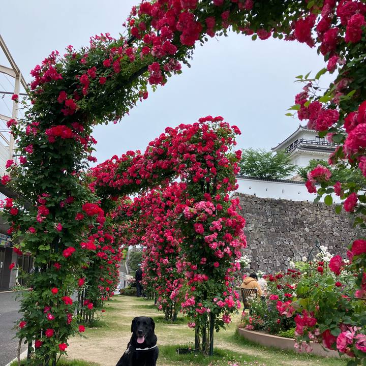 2e0fe858 8fb5 437e adcd 95222372fe22 1716155830377