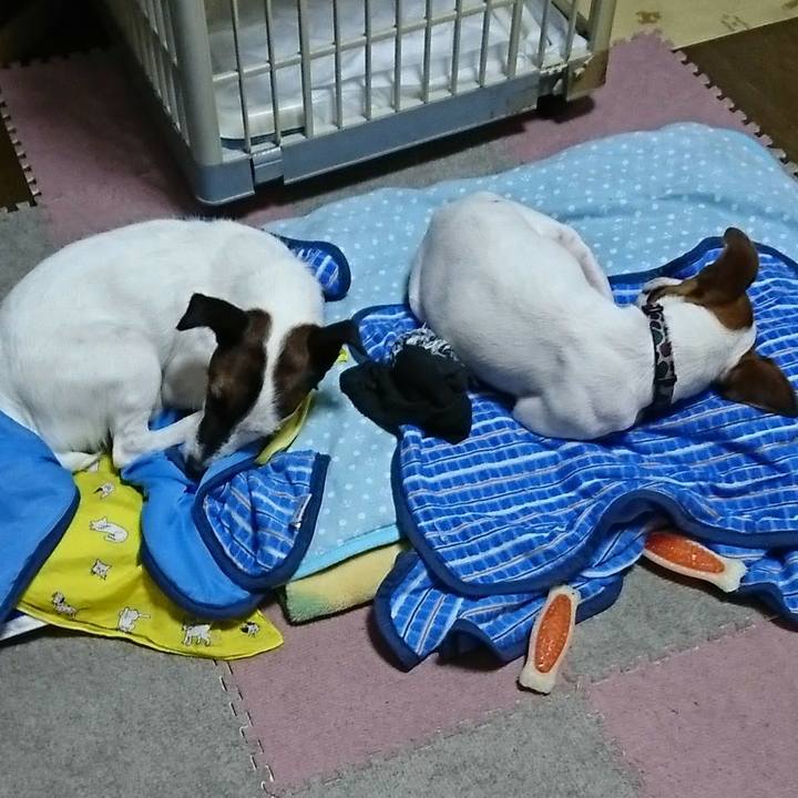 2e0ff8f0 d27a 49ba 90ac eef60ed00400 1535635571549