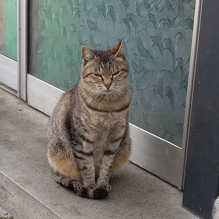 2e1021b6 facc 486e 9138 23fdf9aac7af 1619582483503