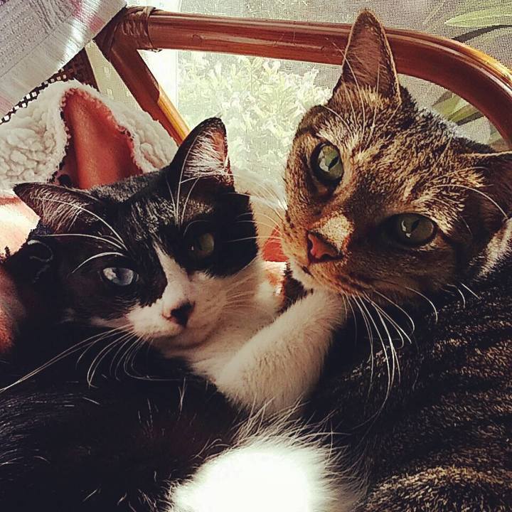 2e102d46 3b32 421a 880a a32c9db0d2cc 1540189010544