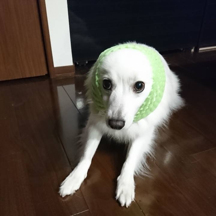 2e106323 e37b 42e6 87d9 7aa205bbf666 1528551512024