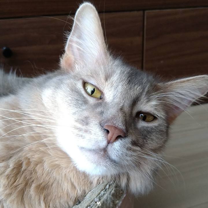 2e108227 e6c2 44a4 a374 d9110b77d2e4 1627557007524