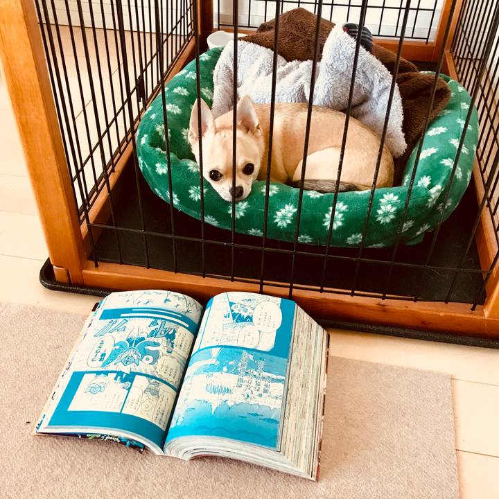 2e1084a2 3e34 408d a828 f48c5295df37 1522055465216