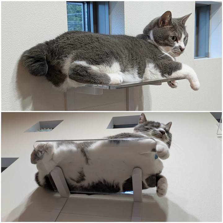 2e10862e 3319 4581 bbdd 3f54b41328ef 1751105292073