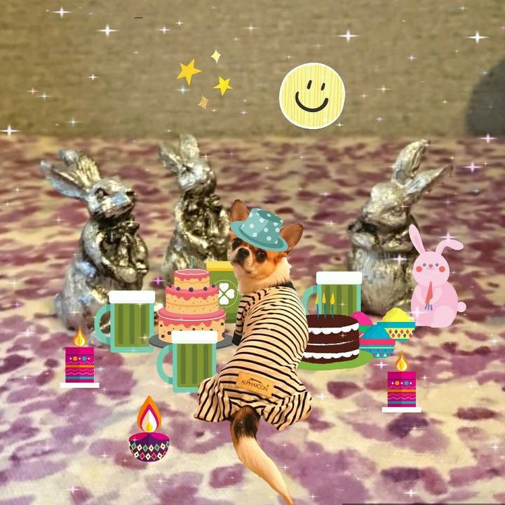 2e10cbb2 bf40 4b87 a145 3557919a0356 1583832539939