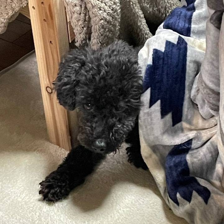 2e110f84 35b3 41b3 9b57 f9e3a24a0953 1645272758104