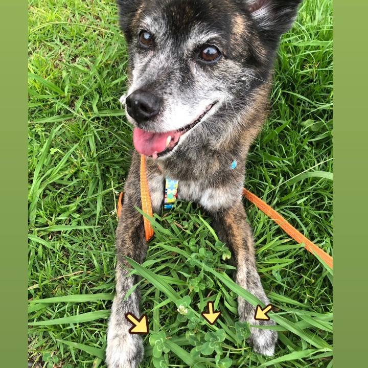 2e112a8a 84d8 4667 846a 8eb77fc35379 1687862626194