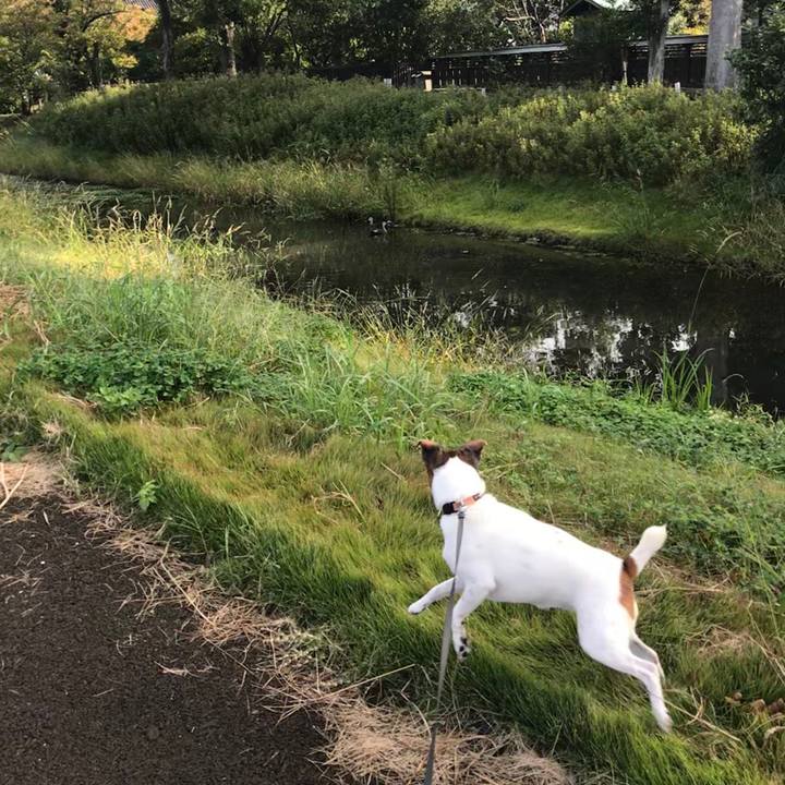 2e112c17 e2bd 4aa8 847c 50db2fa815db 1538871247456