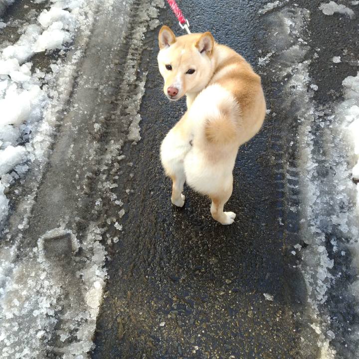 2e112d0f 016e 44fe 9256 b964ff59d77d 1516795812615