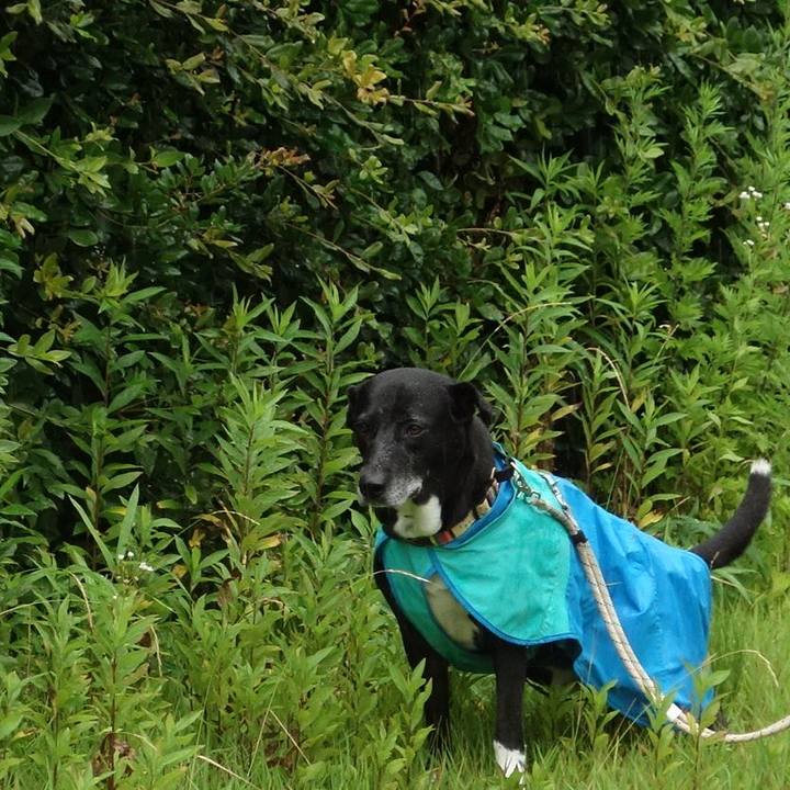 2e11df7e ad51 410e a873 13a036cd6f9d 1718668798074