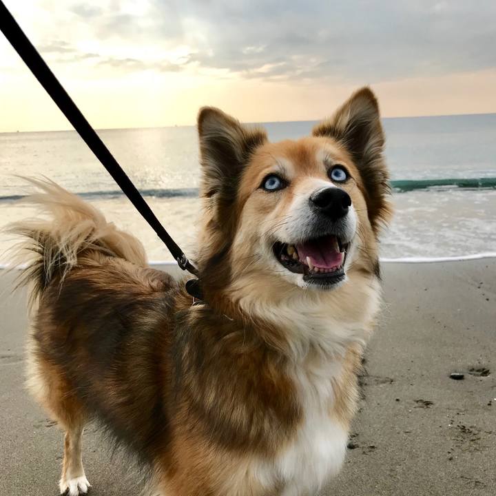 2e1201e9 664f 4f50 9a3a c512c2cb08ef 1517480397627