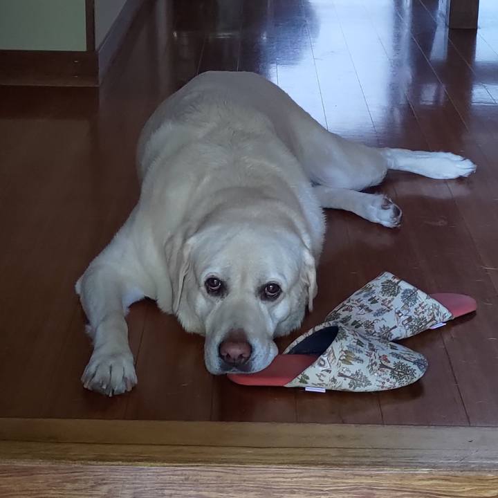 2e1215f4 1b68 4a24 9712 5899f4f7d924 1688010683922