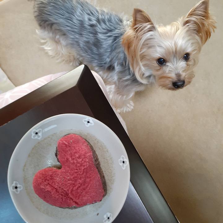 2e121ac2 716a 4177 a7ac 6fe4469ffd71 1610951342676