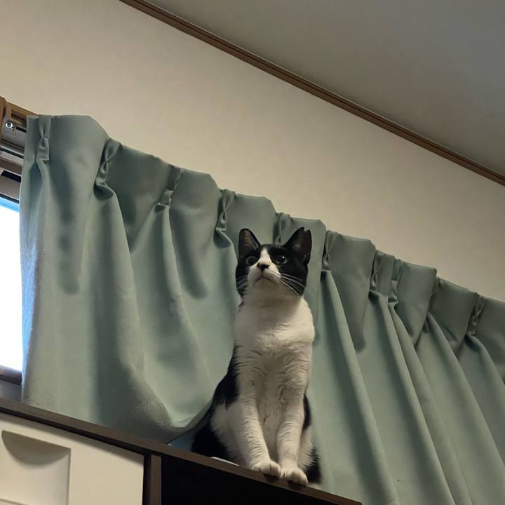 2e123cf3 c095 47b9 ad2e cd417edf4739 1694463992415