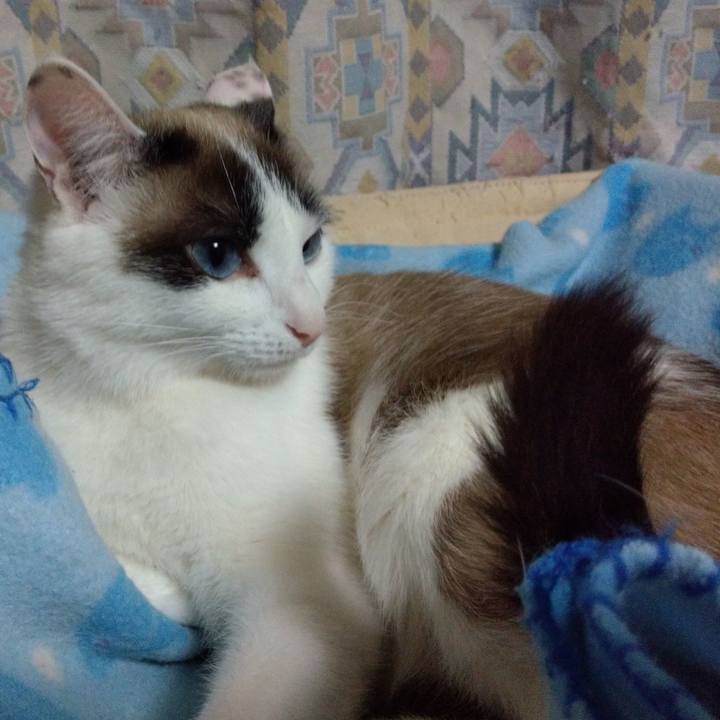 2e1284b0 726c 40ae a659 5440bb579d01 1550147426312