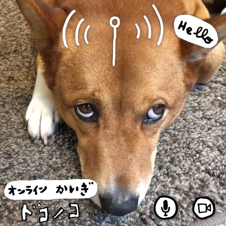 2e12bcf8 dae4 4545 9c56 b507178dc8fd 1590727999987