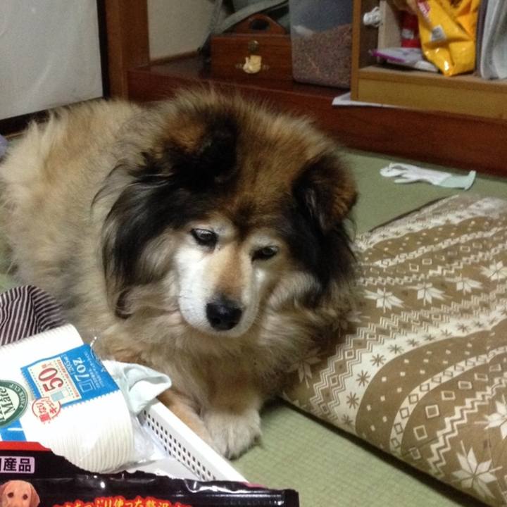 2e12c868 2d8a 4148 bfae e3e0f708965f 1604882950069