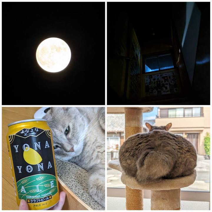 2e12d584 9a94 4cbe 8edf 807bd5ccb169 1695994558138