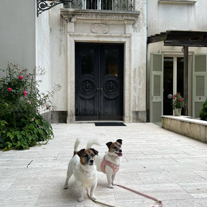 2e131606 6d46 4787 a989 f17e497b6481 1717768600239