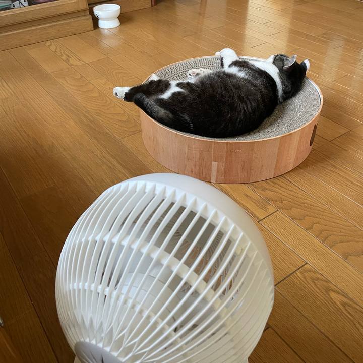 2e13ae15 f614 45c7 9674 f8a366b70de1 1688698333354