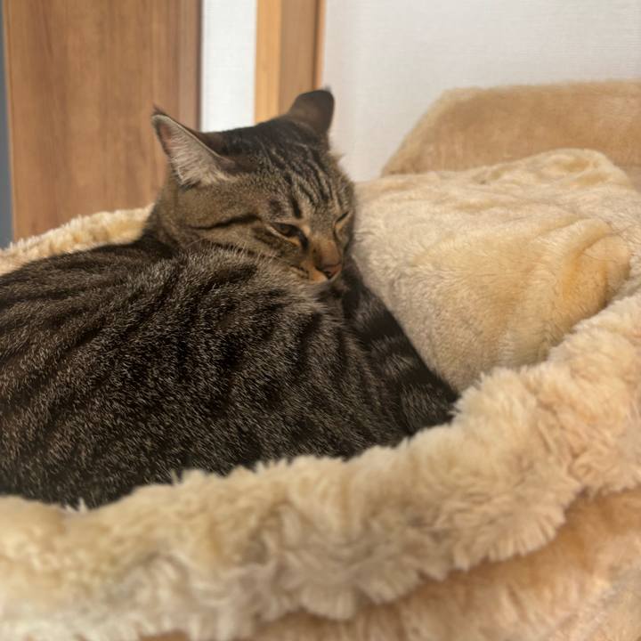 2e13af73 79bb 4ddb 9fed 887368b2ada3 1764123189105