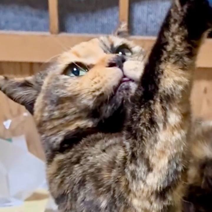 2e13b54b 9d14 4b3b a136 48d6d7555ca4 1767471918800