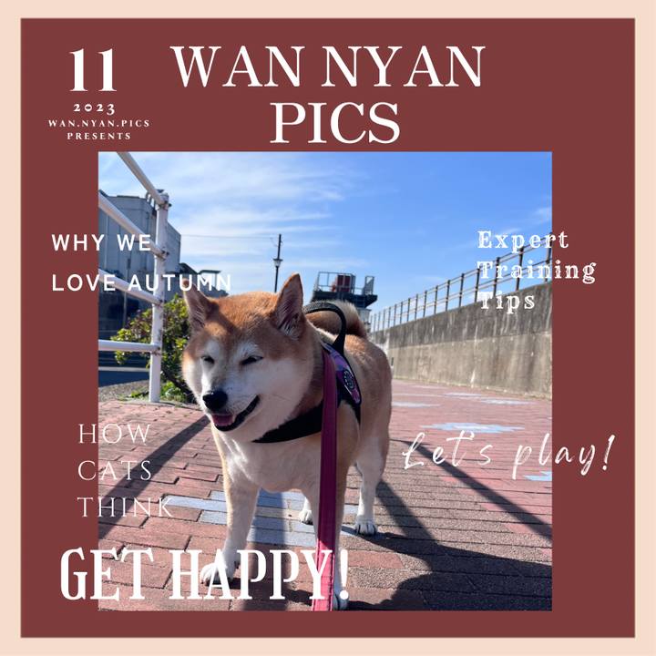 2e13d072 c4be 43b7 87a6 2612c11e0cfe 1699514299922