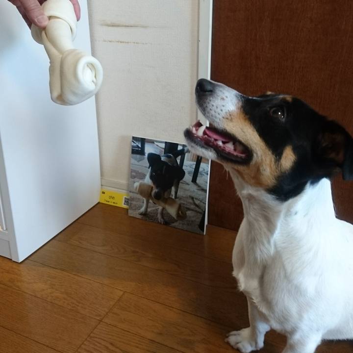 2e13d14e 57e8 4e30 ac55 a95c36392bbe 1560648202073