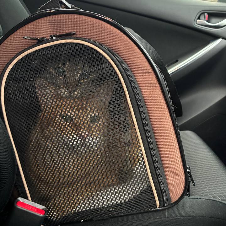 2e141b75 8f06 4d44 9bee 8ec5781fe62c 1750567427056