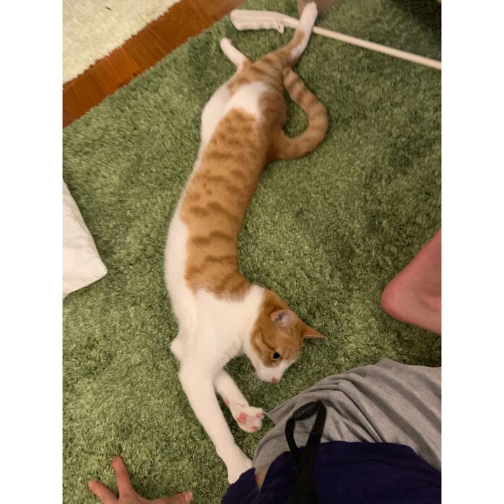 2e142cc6 dde5 4227 994b e5559979d638 1596882555428