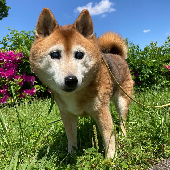 2e147a83 6090 4349 a805 f7a3dd052f32 1714651754038